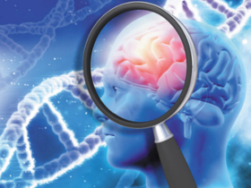 Variantes genéticas causan epilepsia mioclónica juvenil