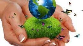 Timeline: Las cumbres ambientales internacionales y la educación ambiental