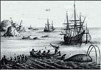 Llegada de cristobal colon a la isla de SD.