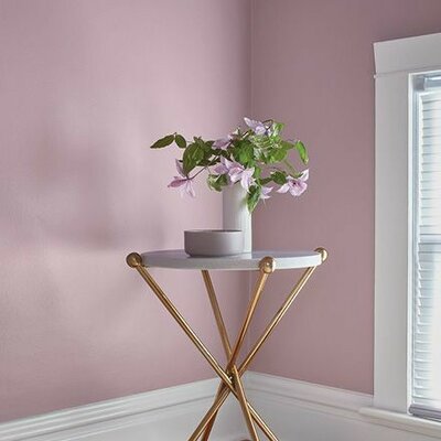 Timeline: Estado y Derecho