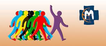 Proyectos de investigación y gestión educativa