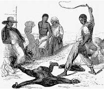 Modelo económico de negros esclavos