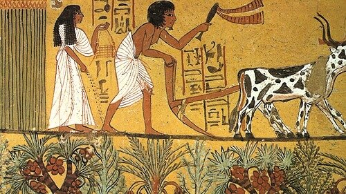 Primeras aplicaciones de la biotecnología