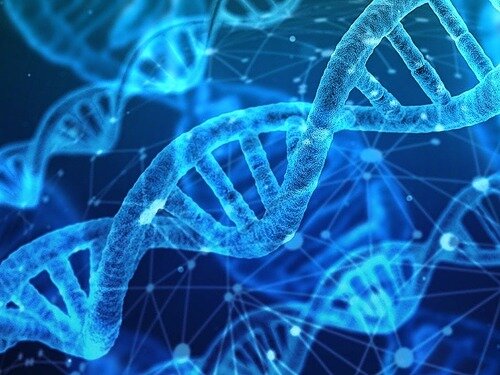 Bioctenologia moderna