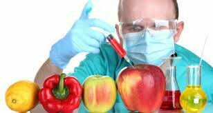 Se revela un estudio sobre los Organismos genéticamente modificados (OGM)