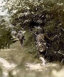 The Battle of the Hedgerows Ends