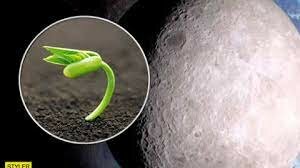 Хлопок на Луне