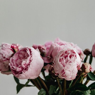 Timeline: Довгань Ольга, Цифрове портфоліо