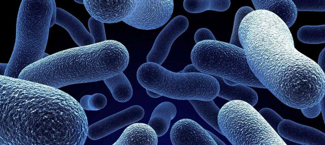 Aparición de los primeros seres vivos (bacterias procariotas)