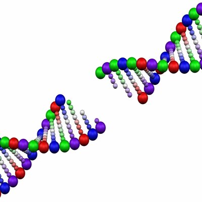 Timeline: History and discovery of DNA