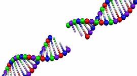 Timeline: History and discovery of DNA