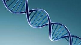 Timeline: History of DNA