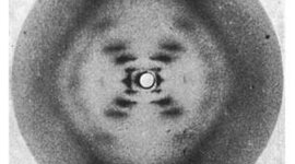 Timeline: History of DNA