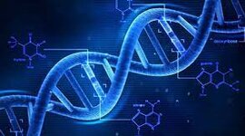 Timeline: History of DNA