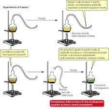 PROVE CONTRO LA GENERAZIONE SPONTANEA DELLA VITA