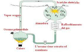L'ESPERIMENTO DI MILLER E UREY