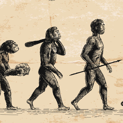 Timeline: Historia de la ciencia