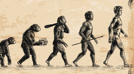 Timeline: Historia de la ciencia