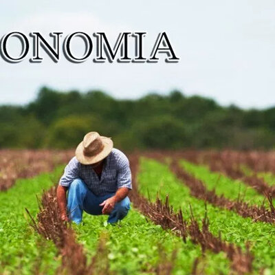 Timeline: linea de tiempo con el origen de la enfermedad en plantas