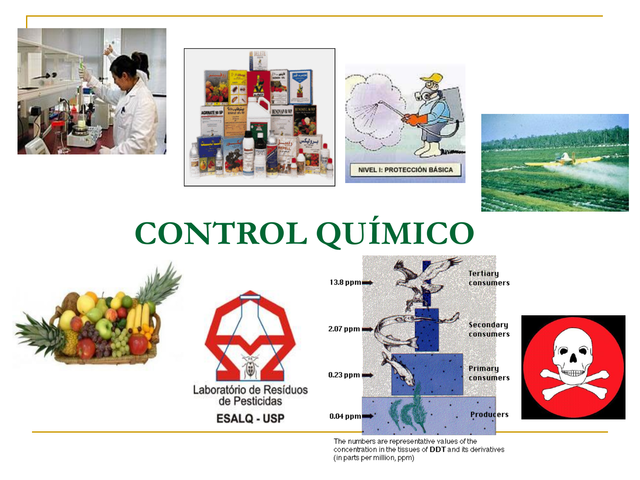 inicio el contro quimico