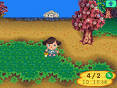 Animal Crossing: Wild World