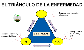 Otras nociones de causa