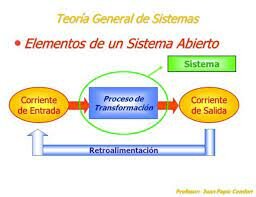 La organizacion como sistema abierto.