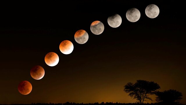 : Entre estas fechas, el virrey don Antonio de Mendoza, observó desde la capital novohispana dos eclipses de luna, lo que le permitió establecer su longitud geográfica.