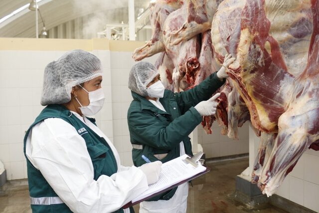 Reglamento para la inspección de la carne