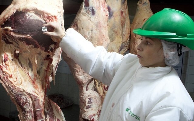 Inspección Veterinaria