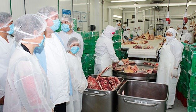 Higiene Pública: Inspección de Carnes; del Color, Olor, Sabor y Consistencia de la Carne de los Animales de Carnicería y el Pescado