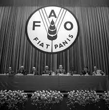 Fundación de la FAO