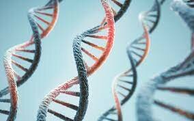 Discovery of Nucleic Acids