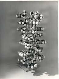 Pauling's triple helix