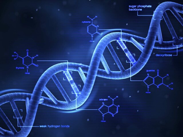 Discovery of DNA Components