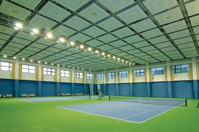 Indoor grass tennis court