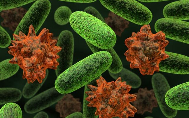 9. La teoría microbiana sin Pasteur y Koch.