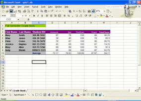 Excel V. 4