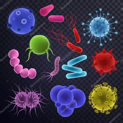 8.Taxonomia de las enfermedades; ¿La triada de enfermedad en la fitopatologia?