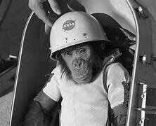 The First Creatures to return alive from space