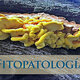 Fitopatologia