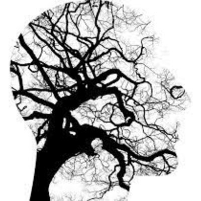 Timeline: my history