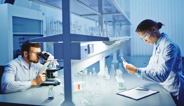 P. Rico, C. A. Caballero  (2001)