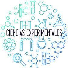 Pancheshnikova, 1989