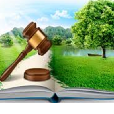 Timeline: Hitos Internacionales del Derecho Ambiental