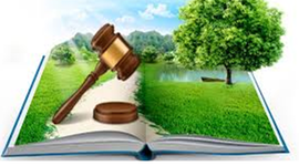 Timeline: Antecedentes  relevantes de la Ley General del Equilibrio Ecológico  y la Protección al Ambiente