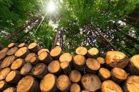 1900 - 1914  Era del Utilitarismo