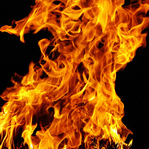 foc