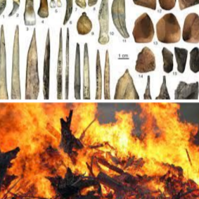 El foc i Eines al Paleolitic