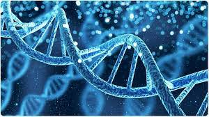 DISCOVERY OF NUCLEIC ACIDS
